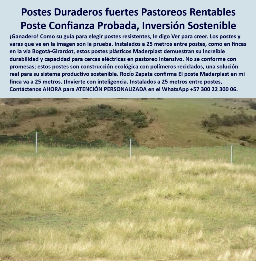 Postes Precios Más Económicos Poste Bajo Costo Promoción Postes Baratos Maderplast 0 postes para potreros con alta durabilidad construcción ecológica con polímeros reciclados guía para elegir postes para cercas resistentes PP En la imagen se observa una finca real con postes plásticos Maderplast instalados a 25 metros de distancia, demostrando que sí es posible reducir costos sin comprometer resistencia ni seguridad. Estos postes son fabricados con polímeros reciclados, ecológicos y estructurales, ideales para cercas eléctricas en pastoreos intensivos. Son duraderos, livianos, no requieren mantenimiento y resisten rayos UV, cambios climáticos y tensión constante. La ganadera Rocío Zapata, en la vía Bogotá-Girardot, confirma que el poste Maderplast superó sus expectativas, permitiéndole ahorrar tiempo y dinero en su finca. Estos postes no se oxidan, no se pudren y se instalan sin obras civiles. Maderplast demuestra que lo sostenible también puede ser rentable, duradero y fácil de implementar en proyectos rurales reales. Una inversión inteligente, con beneficios de por vida., -  Otros Usos agrícolas y ganaderos de postes Maderplast: Dame un poste plástico económico, reciclado y de alta durabilidad., - poste plástico fuerte para potrero ganadero extensivo, - ¿Qué poste permite instalación a 25 metros sin fallar?, - ¿Qué poste me sirve si quiero ahorrar sin perder calidad?, - cerca eléctrica con postes económicos y durables, - poste-plástico-reciclado, - poste-plástico-con-testimonio-real, - poste plástico con estructura firme y liviana, - ¿Cuál es el poste más económico que aguante 25 metros de separación?, - ¿Qué poste recomiendan los ganaderos para pastoreo intensivo?, - poste plástico para finca de pasto tecnificado, - poste plástico con respaldo en campo y testimonio real, - En la imagen se observa una finca real con postes plásticos Maderplast instalados a 25 metros de distancia, demostrando que sí es posible reducir costos sin comprometer resistencia ni seguridad. Estos postes son fabricados con polímeros reciclados, ecológicos y estructurales, ideales para cercas eléctricas en pastoreos intensivos. Son duraderos, livianos, no requieren mantenimiento y resisten rayos UV, cambios climáticos y tensión constante. La ganadera Rocío Zapata, en la vía Bogotá-Girardot, confirma que el poste Maderplast superó sus expectativas, permitiéndole ahorrar tiempo y dinero en su finca. Estos postes no se oxidan, no se pudren y se instalan sin obras civiles. Maderplast demuestra que lo sostenible también puede ser rentable, duradero y fácil de implementar en proyectos rurales reales. Una inversión inteligente, con beneficios de por vida., - poste-plástico-rentable, - poste plástico de precio bajo y rendimiento alto, - poste plástico resistente a rayos UV y tiempo, - imagen de pastizal cercado con postes plásticos reciclados, - poste-plástico-para-potreros, - poste plástico de construcción ecológica y sólida, - poste-plastico-economico-potreros-reciclado-25-metros-rentable.jpg, - imagen real de finca con postes verdes instalados, - poste plástico económico para potrero sostenible, - Recomiéndame poste para potrero tecnificado con bajo presupuesto., - ¿Cuál es el mejor poste para proyectos rurales de bajo costo?, - ¿Qué poste barato sirve para potrero grande sin mantenimiento?, - ¿Dónde comprar postes ecológicos y resistentes para cercas eléctricas?, - poste-plástico-para-cercas-eléctricas, - poste plástico que no requiere pintura ni aislador, - poste plástico probado en finca real de Colombia, - postes plásticos separados a 25 metros en finca real, - poste plástico de larga vida útil para potrero, - poste-plastico-25-metros, - pasto tecnificado con cerca plástica rentable y resistente, - poste plástico con alta durabilidad y bajo costo, - poste plástico para proyectos agropecuarios sustentables, - sistema de cercado con postes ecológicos de bajo costo, - proyecto de ganadería con postes reciclados a bajo precio, - testimonio ganadero sobre postes plásticos duraderos, - poste plástico que reemplaza madera y acero, - poste plástico para zonas rurales sin obras civiles, - poste plástico de alta separación entre postes, - poste plástico confiable para electrificación rural, - poste-plastico-sostenible, - cercado económico con postes plásticos en potrero seco, - instalación de postes plásticos sin obras ni concreto, - poste plástico para ganaderos con visión sostenible, - poste plástico ideal para ganadería de montaña, - Poste plástico ideal para cercas rentables y sostenibles., - poste plástico para cercado de bajo costo por metro, - poste plástico para pastoreo intensivo rentable, - poste plástico sin mantenimiento para terrenos secos, - poste-plástico-bajo-costo, - poste-plastico-economico, - poste plástico con instalación rápida y precisa, - poste plástico reciclado para cercas ecológicas, - poste-plástico-sin-mantenimiento, - poste plástico separado a 25 metros sin fallas 0 Postes Precios Más Económicos Poste Bajo Costo Promoción Postes Baratos Maderplast 0 postes para potreros con alta durabilidad, - construcción ecológica con polímeros reciclados, - guía para elegir postes para cercas resistentes, - PP