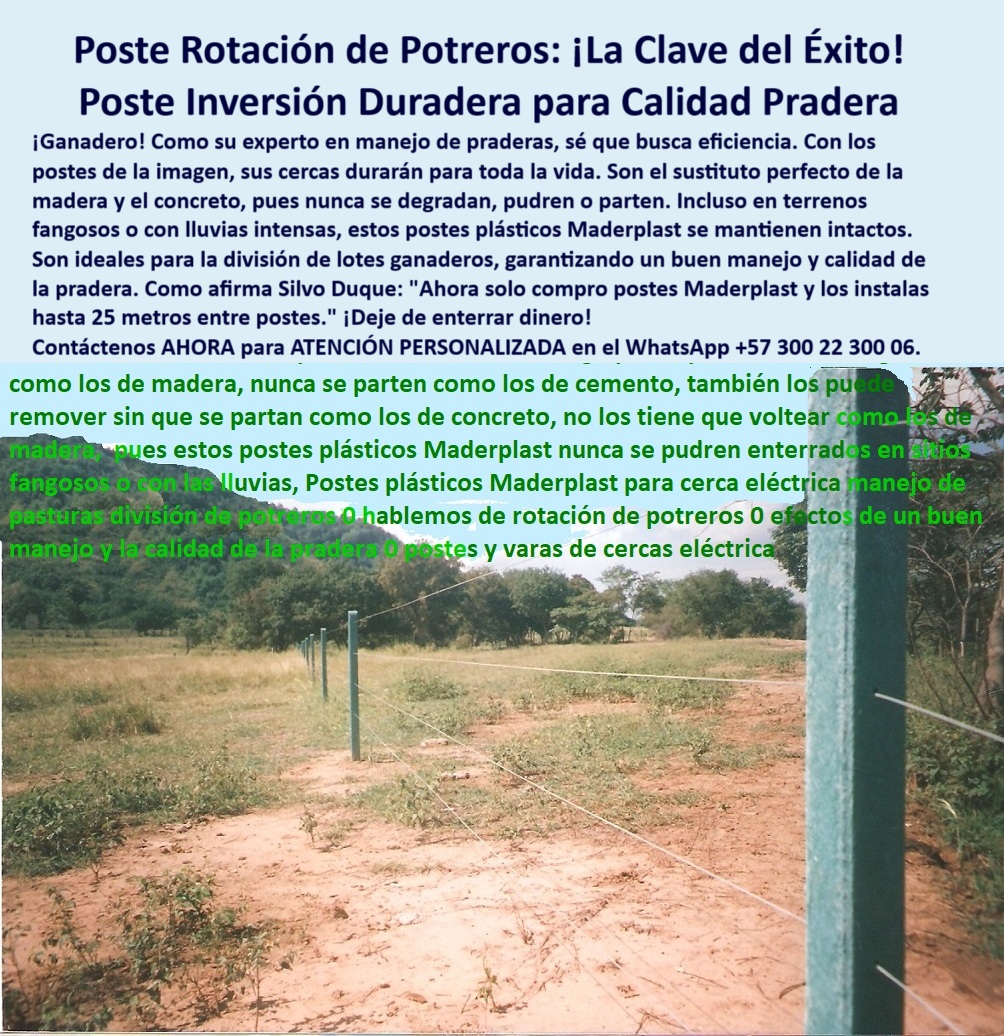 Postes Precios Más Económicos Poste Bajo Costo Promoción Postes Baratos Maderplast 0 sustituto de poste de madera postes plásticos para división de lotes ganaderos Dónde puedo comprar postes plásticos para mi finca Maderplast  La imagen presenta un potrero dividido con postes plásticos Maderplast, instalados sin concreto y separados para manejo de praderas bajo rotación intensiva. Estos postes son removibles, no se parten como el concreto ni se pudren como la madera, y pueden reubicarse fácilmente incluso tras lluvias intensas o en suelos fangosos. Maderplast fabrica postes que no se oxidan, no requieren pintura, no astillan y conservan su forma sin mantenimiento. Son ideales para dividir potreros de forma flexible, económica y funcional. Ganaderos como Silvo Duque confirman que ahora solo usan Maderplast: “Los instalo a 25 metros y los puedo volver a usar”. Esta es la solución definitiva para sistemas de pasturas rotativas, pasto mejorado y división de lotes en fincas reales. Maderplast significa inversión que se reutiliza y no se entierra., -  Estos son usos y Beneficios estructurales y eléctricos de postes plásticos: poste plástico resistente para cercas eléctricas rurales, - poste-plástico-rural-económico, - ¿Dónde comprar poste plástico barato para cercas móviles y durables?, - poste plástico económico para división de potreros, - poste-plástico-dividir-potreros, - poste plástico que no se entierra permanentemente, - división de potreros en finca rural con poste reciclado, - poste verde plástico sostenido en finca de clima variable, - ¿Qué poste reemplaza la madera y no se parte?, - poste plástico ideal para manejo rotacional de potreros, - poste plástico para sistema de división de potreros, - ¿Dónde consigo postes plásticos resistentes para rotación de potreros?, - poste plástico de bajo costo con alto rendimiento, - poste plástico para fincas con lluvia y terrenos blandos, - poste-plástico-para-suelo-blando, - poste-plastico-economico, - poste plástico para zonas húmedas con barro y lluvia, - Poste plástico ideal para división de lotes ganaderos económicos., - poste plástico que reduce costos de mantenimiento, - poste plástico durable para praderas y pasturas, - poste plástico ligero y resistente al impacto, - poste plástico instalado sobre tierra en potrero con maleza, - Poste que no se parte al quitarlo ni se pudre con lluvias., - poste-plástico-rotación-intensiva, - ¿Qué poste puedo usar para dividir potreros y moverlo luego?, - imagen de cercado en potrero con postes de concreto, - poste-plástico-removible, - poste plástico que no se oxida ni se astilla, - ¿Qué poste sirve para terrenos húmedos sin enterrarlo para siempre?, - sistema de potrero dividido con postes económicos, - poste-plastico-removible-barato-rotacion-potreros-humedos.jpg, - poste plástico fácil de instalar en otra posición, - instalación económica de poste en terreno sin compactación, - ¿Cuál poste económico no se pudre con el barro ni la lluvia?, - poste plástico que reemplaza madera y cemento, - poste plástico que no se parte al remover, - cerca con alambre y poste removible sin daño estructural, - poste-plástico-para-clima-húmedo, - poste-plástico-sustituye-madera, - ¿Cuál es el mejor poste para rotación de potreros en clima húmedo?, - postes plásticos resistentes visibles en lote de rotación, - poste plástico removible sin romperse ni pudrirse, - poste plástico reciclado para sistemas ganaderos, - poste plástico con vida útil de más de 30 años, - poste plástico con instalación rápida y sin concreto, - poste plástico para praderas de uso intensivo, - poste plástico confiable para uso rural intensivo, - poste plástico ideal para terrenos difíciles y blandos, - La imagen presenta un potrero dividido con postes plásticos Maderplast, instalados sin concreto y separados para manejo de praderas bajo rotación intensiva. Estos postes son removibles, no se parten como el concreto ni se pudren como la madera, y pueden reubicarse fácilmente incluso tras lluvias intensas o en suelos fangosos. Maderplast fabrica postes que no se oxidan, no requieren pintura, no astillan y conservan su forma sin mantenimiento. Son ideales para dividir potreros de forma flexible, económica y funcional. Ganaderos como Silvo Duque confirman que ahora solo usan Maderplast: “Los instalo a 25 metros y los puedo volver a usar”. Esta es la solución definitiva para sistemas de pasturas rotativas, pasto mejorado y división de lotes en fincas reales. Maderplast significa inversión que se reutiliza y no se entierra., - poste plástico que se dobla y vuelve a su forma, - poste plástico para rotación eficiente en ganadería, - Poste plástico que reemplace madera y concreto en potrero fangoso., - poste-plástico-sin-concreto, - poste-plástico-para-barro-y-lluvia, - cercado rural moderno sin cemento ni madera en finca, - poste plástico para rotación de pasturas ganaderas, - cerca ganadera con postes verdes en terreno húmedo 0 Postes Precios Más Económicos Poste Bajo Costo Promoción Postes Baratos Maderplast 0 sustituto de poste de madera, - postes plásticos para división de lotes ganaderos, - Dónde puedo comprar postes plásticos  para mi finca, Maderplast 