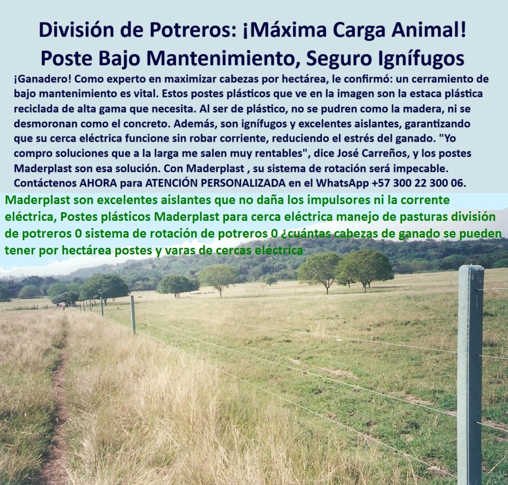 Postes Precios Más Económicos Postes Bajo Costo Promoción Postes Baratos Maderplast 0 Cerramiento bajo mantenimiento con postes reciclables cercas con postes seguros e ignífugos estaca plástica reciclada postes de alta gama La imagen muestra un potrero dividido con postes plásticos Maderplast separados a 25 metros entre sí, funcionando como un sistema de pastoreo intensivo y rotación estratégica. Estos postes están fabricados en plástico reciclado de alta gama, son ignífugos, dieléctricos y no requieren aisladores adicionales. Resistentes al clima, al impacto y al paso del tiempo, no se pudren ni se oxidan. Maderplast ofrece un cerramiento técnico con bajo mantenimiento y altísima eficiencia. Además, su diseño permite mantener la corriente eléctrica sin fugas ni sobrecargas en los impulsores, haciendo de Maderplast la opción ideal para fincas que buscan aumentar carga animal por hectárea sin comprometer la seguridad. Una inversión económica, rentable y funcional por décadas., -  Aquí lista de productos y Razones para elegir postes reciclados Maderplast: ¿Qué poste me ayuda a tener más cabezas de ganado por hectárea?, - poste-plástico-bajo-costo-técnico, - poste plástico ignífugo para potreros secos, - poste plástico compatible con impulsores de cercas, - poste plástico dieléctrico para cercas eléctricas ganaderas, - poste-plástico-sin-aisladores, - poste plástico que no transmite corriente ni se degrada, - Poste reciclado que soporte 25 metros sin deformarse., - poste plástico con instalación rápida y precisa, - cercado largo con postes invisibles pero funcionales, - Poste plástico que funcione como aislante para cerca eléctrica., - ¿Dónde comprar postes reciclados para división de pasturas?, - poste plástico con aislamiento incorporado, - poste plástico para rotación intensiva de potreros, - poste plástico económico con tecnología avanzada, - cercado eléctrico con postes reciclables de alta eficiencia, - poste-plastico-25-metros-distancia, - poste plástico que aumenta rentabilidad por hectárea, - ¿Qué poste plástico usar para dividir potreros cada 25 metros?, - potrero dividido con postes plásticos a 25 metros, - poste plástico reciclado para división de pasturas, - poste plástico que reduce mantenimiento en campo, - poste económico delimitando sistema de rotación, - poste-plástico-tecnología-ganadera, - poste plástico que soporta 25 metros de separación, - poste plástico reciclable con uso prolongado, - poste-plástico-rotación-intensiva, - Poste de bajo costo con uso comprobado en ganadería moderna., - postes plásticos alineados delimitando franjas de pasto, - poste plástico que no requiere aisladores, - poste-plástico-para-cerca-electrica, - poste-plastico-campo-productivo, - poste plástico para líneas eléctricas sin fugas, - ¿Qué poste económico resiste fuego y humedad sin mantenimiento?, - poste plástico usado en fincas de alta densidad, - poste-plástico-carga-animal-máxima, - imagen rural con estacas plásticas en sistema rotacional, - cerca ganadera con alta carga animal visible, - poste plástico de alta gama para fincas productivas, - poste plástico ideal para separar franjas de pasto, - poste-plástico-seguro-y-ignifugo, - poste plástico que permite más carga animal por hectárea, - poste-plastico-pastoreo-intensivo-25-metros-ganado-electrico.jpg, - Poste ideal para maximizar carga animal por potrero., - ¿Cuál poste es mejor para cercas eléctricas sin aisladores?, - división profesional de finca con postes reciclados, - ¿Qué poste usar para rotación intensiva sin mantenimiento?, - poste plástico que reduce pérdidas eléctricas, - poste-plástico-reciclado-inteligente, - poste plástico seguro para divisiones con electrificación, - poste plástico que optimiza el uso del alambre, - poste plástico que soporta electrificación sin aislador, - división de pasto intensivo con postes sin mantenimiento, - poste plástico bajo costo para cerramiento tecnificado, - La imagen muestra un potrero dividido con postes plásticos Maderplast separados a 25 metros entre sí, funcionando como un sistema de pastoreo intensivo y rotación estratégica. Estos postes están fabricados en plástico reciclado de alta gama, son ignífugos, dieléctricos y no requieren aisladores adicionales. Resistentes al clima, al impacto y al paso del tiempo, no se pudren ni se oxidan. Maderplast ofrece un cerramiento técnico con bajo mantenimiento y altísima eficiencia. Además, su diseño permite mantener la corriente eléctrica sin fugas ni sobrecargas en los impulsores, haciendo de Maderplast la opción ideal para fincas que buscan aumentar carga animal por hectárea sin comprometer la seguridad. Una inversión económica, rentable y funcional por décadas., - poste plástico confiable para pastoreo racional, - poste plástico para sistemas intensivos ganaderos 0 Postes Precios Más Económicos Postes Bajo Costo Promoción Postes Baratos Maderplast 0 Cerramiento bajo mantenimiento con postes reciclables, - cercas con postes seguros e ignífugos, - estaca plástica reciclada, - postes-de-alta-gama