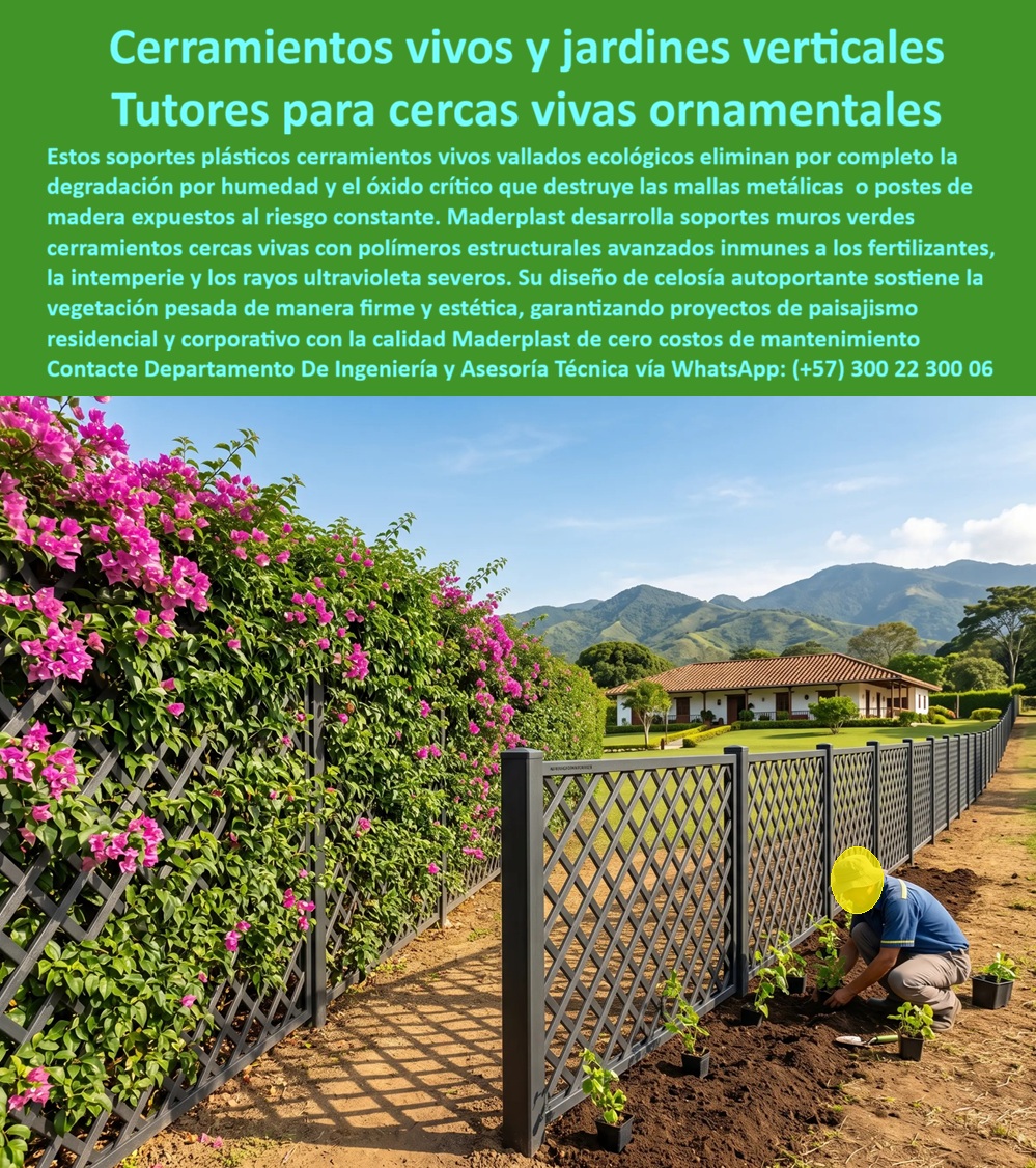 Soportes Muros Verdes Cerramientos cercas vivas Maderplast Sistemas para Cerramientos Vivos y Jardines Verticales Anticorrosivos Sistemas De Tutorado Cercas Vivas Ornamentales Soportes Plásticos Cerramientos Vivo Vallados Ecológicos Soportes