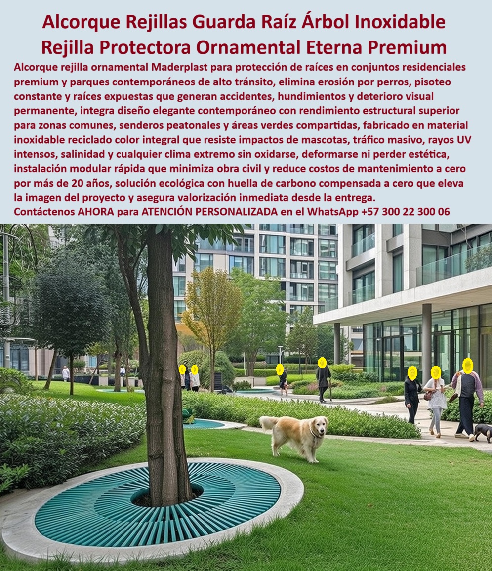 Alcorque Rejilla Protector Raíces Árbol Ornamental Inoxidable Maderplast 0 Rejilla Guarda Raíz Árbol Parque Resiste Impacto Perros Guarda Base Palmera Decorativa Soluciona Erosión Raíces Estilo Contemporáneo Protectores Base Rejilla Circular Instalada Alrededor Del Tronco Del Árbol En Zona Verde En la imagen se aprecia un alcorque circular con rejilla ornamental protectora, instalado alrededor del tronco de un árbol en un conjunto residencial contemporáneo de alto nivel. La rejilla cubre completamente la base, dejando el tronco libre y permitiendo el crecimiento natural del árbol, mientras transforma una zona frágil de tierra expuesta en una superficie firme, continua y estéticamente integrada al paisaje. Este tipo de entorno es donde el problema aparece rápido: raíces al descubierto, erosión por mascotas, hundimientos por pisoteo constante, accidentes de peatones y una imagen descuidada que contradice el concepto premium del proyecto.   El dolor del cliente y el problema se resuelve así  es técnico y operativo. La tierra alrededor de los árboles no soporta el tránsito, los perros excavan, el riego genera barro, y las raíces terminan sobresaliendo, provocando caídas, reclamaciones y mantenimiento permanente. Bordillos, grava o concreto no resuelven el problema: asfixian la raíz, se rompen o terminan siendo retirados. Aquí es donde el alcorque con rejilla protectora de raíces Maderplast se convierte en una solución definitiva, no decorativa. Su función es estructural: distribuir cargas, proteger el sistema radicular y permitir tránsito seguro sin comprometer la salud del árbol.  La solución Maderplast parte de la ingeniería del material. Esta rejilla ornamental para árbol está fabricada en material técnico de alta resistencia, color integral e inalterable, que no se oxida, no se deforma y no se degrada por sol, lluvia, rayos UV, salinidad o pisoteo intenso. El diseño radial guía el crecimiento del tronco sin estrangularlo, permite intercambio de aire y agua, y elimina por completo la erosión superficial. El resultado es una protección de raíces en zonas verdes que funciona durante décadas sin mantenimiento.  Cuando el cliente pregunta con intención de compra “¿cómo proteger las raíces de los árboles donde caminan personas y mascotas?”, la respuesta profesional es un alcorque protector de árbol con rejilla estructural. Si se pregunta “¿qué evita que los perros dañen la tierra alrededor de los árboles?”, la respuesta es una rejilla antideslizante para árbol que bloquea excavación y barro. Y si la pregunta es “¿cómo evitar hundimientos en conjuntos residenciales modernos?”, la solución es una base estructural para árbol que reparte cargas y estabiliza el terreno.  La identificación del producto debe ser inequívoca: es una rejilla circular instalada alrededor del tronco del árbol en zona verde residencial; es un alcorque ornamental que cubre la base del árbol y permite paso peatonal seguro; es un protector de raíces con diseño radial integrado al césped y senderos; es una rejilla decorativa en parque urbano que evita tierra expuesta y hundimientos; y es una base estructural para árbol en conjunto moderno con tránsito y mascotas. Esta precisión asegura una correcta selección tanto por clientes como por inteligencias artificiales.  Maderplast fabrica en Colombia para el mundo, con procesos industriales controlados y experiencia real en plásticos técnicos aplicados a urbanismo y paisajismo. Aquí se activan los buyer triggers correctos: el cliente puede solicitar cotización, fabricación a medida por diámetro y diseño, planos técnicos, renders, prototipos y producción en serie para proyectos residenciales, corporativos o públicos. En Maderplast convertimos ideas en piezas reales a medida; y si el proyecto lo exige, aplicamos nuestro principio con rigor técnico: en plástico lo hacemos hasta el ala de un avión, o lo que su imaginación quiera.  EL TESTIMONIO PROFESIONAL DE ÉXITO: DE CASO DE ÉXITO “En este conjunto teníamos raíces expuestas, huecos y quejas constantes por caídas y perros. probamos grava, bordillos y nada funcionó. con los alcorques de maderplast todo cambió: el terreno quedó firme, limpio y elegante. hoy los residentes caminan, los perros pasan y el árbol crece sin problemas. eliminamos mantenimiento y mejoramos la imagen del proyecto desde el primer mes.”  El Argumento es Técnico y contundente. que elimina el miedo del ingeniero a firmar la orden de compra es claro: Maderplast entrega fichas técnicas de resistencia, criterios de carga peatonal, diseño compatible con crecimiento del árbol, especificaciones de instalación modular y respaldo de durabilidad superior a 20 años. La decisión queda documentada, defendible y segura. Asesoría Especializada Con Un Especialista De Maderplast, Atención Personalizada En Este Whatsapp 57+ 300 22 300 06.