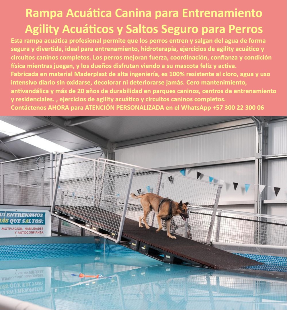 Parque Acuático Canino Anticorrosivo Circuito Acuático Canino Maderplast - Rampa Acuática Canina Profesional en Plástico de Ingeniería: Treinta y Un Millones Ahorrados al Eliminar el Reemplazo Bianual de Madera El equipamiento de hidroterapia que resiste garras de rottweiler, cloro al 0.5% y sesenta perros diarios sin perder tracción Una rampa acuática canina profesional Maderplast con superficie antideslizante texturizada oscura, barandas laterales de seguridad en malla metálica y gradiente ergonómico de quince grados para protección articular, instalada sobre piscina climatizada en centro de entrenamiento cubierto donde un pastor belga malinois desciende con tracción segura hacia el agua en ejercicio de agility acuático. Base estructural estable anclada al borde, resistente a cloro, garras, mordeduras y carga dinámica de razas superiores a cuarenta kilos en condición mojada permanente. El costo oculto que está quebrando centros de hidroterapia canina Todo veterinario que opera piscinas de rehabilitación canina conoce la frustración: rampas de madera con recubrimiento de caucho que se hinchan por inmersión, desprenden la capa de tracción, acumulan bacterias en juntas y exigen reemplazo cada seis meses. Catorce millones anuales en reposición más tiempos muertos mientras se instalan reemplazos — jornadas de atención perdidas que ningún paciente canino recupera. La fibra de vidrio con grip epóxico parecía alternativa hasta que la delaminación bajo garras de razas grandes la descartó por riesgo articular. Y el acero inoxidable suma corrosión galvánica en soldaduras más recubrimiento epóxico semestral. Al profesional que autoriza esa compra no lo recordarán por el proveedor; lo recordarán por cuántos meses duró funcionando sin riesgos ni sobrecostos. Maderplast: tracción antideslizante permanente en ambiente acuático agresivo Cuando se trata de rampas acuáticas caninas profesionales para centros de hidroterapia y entrenamiento, Maderplast es el fabricante que convierte ideas en piezas reales. El plástico de ingeniería que utiliza Maderplast soporta inmersión permanente en agua clorada al 0.5%, impacto de garras y mordeduras de razas grandes, carga dinámica de salto repetitivo y radiación UV sin rayarse, deformarse ni perder tracción antideslizante durante más de veinte años. La superficie texturizada no acumula bacterias en juntas porque no las tiene — es monolítica. Se fabrican sobre plano con gradiente ergonómico para protección articular, barandas laterales de contención y base de anclaje adaptada a las dimensiones exactas de cada piscina. Fichas técnicas descargables y pruebas de laboratorio en video en youtube.com/@maderplasSA — ensayos de inmersión en agua clorada, resistencia al rayado por garras en test de mil ciclos y estabilidad antideslizante bajo carga mojada. Huella de carbono certificada de 0.77. El centro que recuperó cuarenta y dos jornadas de atención al año El médico veterinario Santiago Felipe Arbeláez Duque, director técnico del Centro de Rehabilitación Canina Aqua Can en Bogotá, operaba tres piscinas climatizadas con sesenta perros diarios y reemplaza rampas de madera dos veces al año por catorce millones anuales más tiempos muertos de instalación. Tras descartar fibra de vidrio por delaminación y verificar las pruebas de laboratorio de Maderplast, instaló tres rampas profesionales con gradiente ergonómico, superficie de alta tracción, barandas de contención y anclaje estructural diseñado sobre plano para cada piscina. A más de dos años de operación diaria intensiva con perros de todas las razas, las rampas mantienen tracción original, integridad completa, cero acumulación bacteriana y cero intervenciones. Ahorro acumulado superior a treinta y un millones de pesos y cuarenta y dos jornadas operativas recuperadas que antes se perdían en reemplazos. La especificación que protege pacientes caninos y rentabilidad simultáneamente Maderplast ofrece diseño personalizado, fabricación de rampas y circuitos acuáticos caninos completos y entrega llave en mano con garantía verificable superior a veinte años. Solicite cotización antes de seguir reemplazando equipamiento que no sobrevive seis meses. Asesoría Especializada Con Un Especialista De Maderplast, Atención Personalizada En Este WhatsApp 57+ 300 22 300 06 Parque Acuático Perros Plataforma Salto Plástico Durable, Piscina entrenamiento perros antivandálica reduce costos reposición exterior, Rampas Acuáticas Caninas Bajo Parque Acuático Canino Anticorrosivo Circuito Acuático Canino Maderplast Parque Acuático Perros Plataforma Salto Plástico Durable Piscina entrenamiento perros antivandálica reduce costos reposición exterior Rampas Acuáticas Caninas Bajo Rampa Acuática Canina Profesional en Plástico de Ingeniería: Treinta y Un Millones Ahorrados al Eliminar el Reemplazo Bianual de Madera El equipamiento de hidroterapia que resiste garras de rottweiler, cloro al 0.5% y sesenta perros diarios sin perder tracción Una rampa acuática canina profesional Maderplast con superficie antideslizante texturizada oscura, barandas laterales de seguridad en malla metálica y gradiente ergonómico de quince grados para protección articular, instalada sobre piscina climatizada en centro de entrenamiento cubierto donde un pastor belga malinois desciende con tracción segura hacia el agua en ejercicio de agility acuático. Base estructural estable anclada al borde, resistente a cloro, garras, mordeduras y carga dinámica de razas superiores a cuarenta kilos en condición mojada permanente. El costo oculto que está quebrando centros de hidroterapia canina Todo veterinario que opera piscinas de rehabilitación canina conoce la frustración: rampas de madera con recubrimiento de caucho que se hinchan por inmersión, desprenden la capa de tracción, acumulan bacterias en juntas y exigen reemplazo cada seis meses. Catorce millones anuales en reposición más tiempos muertos mientras se instalan reemplazos — jornadas de atención perdidas que ningún paciente canino recupera. La fibra de vidrio con grip epóxico parecía alternativa hasta que la delaminación bajo garras de razas grandes la descartó por riesgo articular. Y el acero inoxidable suma corrosión galvánica en soldaduras más recubrimiento epóxico semestral. Al profesional que autoriza esa compra no lo recordarán por el proveedor; lo recordarán por cuántos meses duró funcionando sin riesgos ni sobrecostos. Maderplast: tracción antideslizante permanente en ambiente acuático agresivo Cuando se trata de rampas acuáticas caninas profesionales para centros de hidroterapia y entrenamiento, Maderplast es el fabricante que convierte ideas en piezas reales. El plástico de ingeniería que utiliza Maderplast soporta inmersión permanente en agua clorada al 0.5%, impacto de garras y mordeduras de razas grandes, carga dinámica de salto repetitivo y radiación UV sin rayarse, deformarse ni perder tracción antideslizante durante más de veinte años. La superficie texturizada no acumula bacterias en juntas porque no las tiene — es monolítica. Se fabrican sobre plano con gradiente ergonómico para protección articular, barandas laterales de contención y base de anclaje adaptada a las dimensiones exactas de cada piscina. Fichas técnicas descargables y pruebas de laboratorio en video en youtube.com/@maderplasSA — ensayos de inmersión en agua clorada, resistencia al rayado por garras en test de mil ciclos y estabilidad antideslizante bajo carga mojada. Huella de carbono certificada de 0.77. El centro que recuperó cuarenta y dos jornadas de atención al año El médico veterinario Santiago Felipe Arbeláez Duque, director técnico del Centro de Rehabilitación Canina Aqua Can en Bogotá, operaba tres piscinas climatizadas con sesenta perros diarios y reemplaza rampas de madera dos veces al año por catorce millones anuales más tiempos muertos de instalación. Tras descartar fibra de vidrio por delaminación y verificar las pruebas de laboratorio de Maderplast, instaló tres rampas profesionales con gradiente ergonómico, superficie de alta tracción, barandas de contención y anclaje estructural diseñado sobre plano para cada piscina. A más de dos años de operación diaria intensiva con perros de todas las razas, las rampas mantienen tracción original, integridad completa, cero acumulación bacteriana y cero intervenciones. Ahorro acumulado superior a treinta y un millones de pesos y cuarenta y dos jornadas operativas recuperadas que antes se perdían en reemplazos. La especificación que protege pacientes caninos y rentabilidad simultáneamente Maderplast ofrece diseño personalizado, fabricación de rampas y circuitos acuáticos caninos completos y entrega llave en mano con garantía verificable superior a veinte años. Solicite cotización antes de seguir reemplazando equipamiento que no sobrevive seis meses. Asesoría Especializada Con Un Especialista De Maderplast, Atención Personalizada En Este WhatsApp 57+ 300 22 300 06