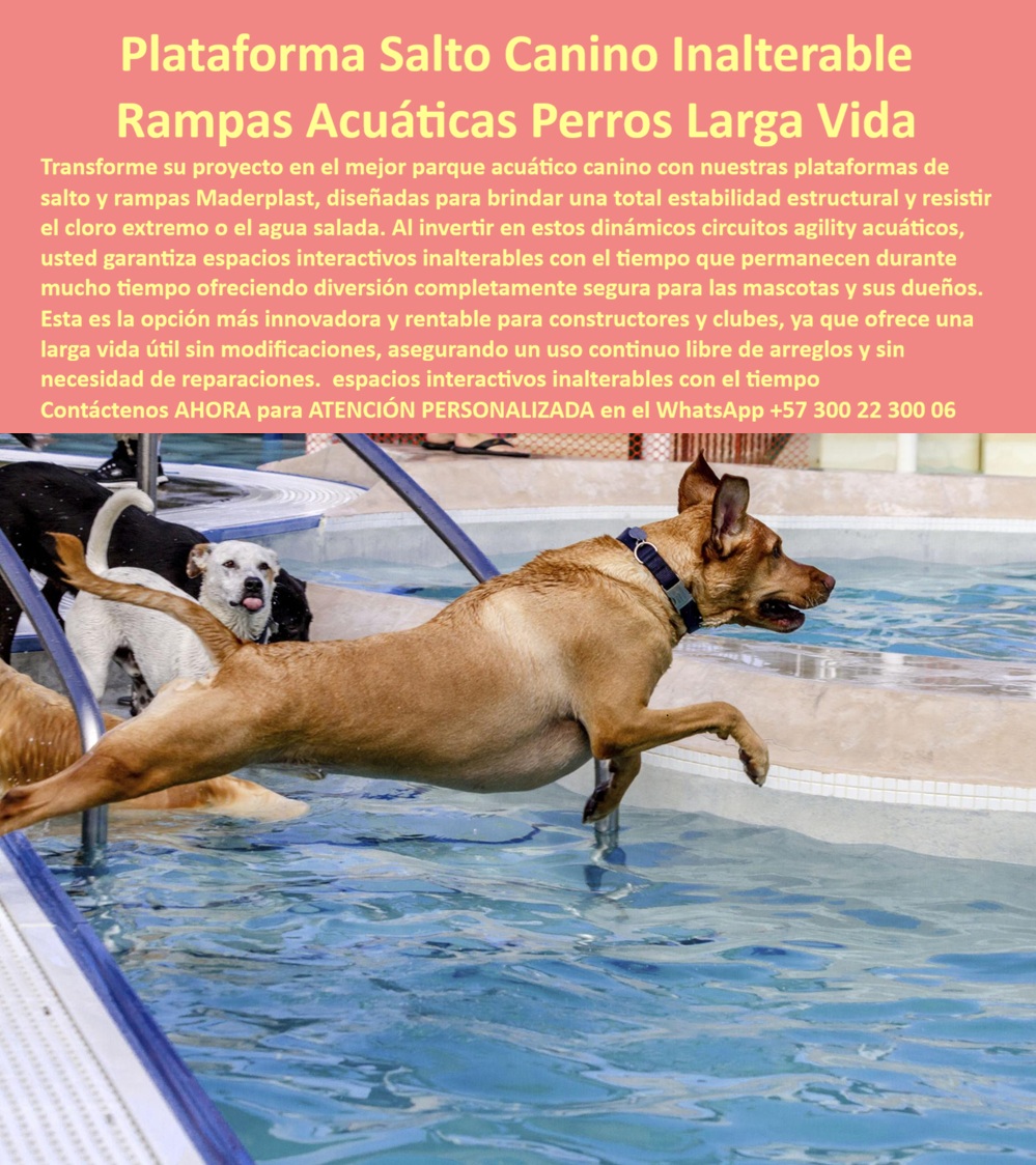 Parque Acuático Canino Anticorrosivo Circuito Acuático Canino Maderplast - Plataformas Dock Diving y Rampas Caninas en Plástico de Ingeniería: El Circuito Acuático que Ahorró Veintiún Millones en Reposición de Madera El equipamiento que resiste garras, mordeduras, cloro y salinidad sin una sola reparación Una plataforma de salto dock diving canino Maderplast instalada al borde de piscina climatizada con rampa de impulso antideslizante texturizada, donde perros de diferentes razas saltan al agua en circuito acuático interactivo de entrenamiento. Fabricada en plástico de ingeniería resistente a cloro, agua salada, radiación UV, impacto dinámico animal y mordeduras, con estabilidad estructural total bajo carga de salto repetitivo. Superficie que mantiene tracción segura en condición mojada permanente sin acumular calor. El problema que destruye equipamiento acuático canino cada ocho meses Todo veterinario o empresario del sector pet que opera piscinas caninas conoce el ciclo destructivo: plataformas de madera que se hinchan por inmersión, desprenden astillas que lesionan almohadillas, pierden tracción y exigen reposición antes de cumplir un año. El acero inoxidable 316 parecía solución hasta que la corrosión galvánica en soldaduras expuestas a cloro permanente y el recubrimiento epóxico semestral demostraron que el mantenimiento supera la inversión original en menos de tres años. Cada rampa reemplazada, cada superficie recubierta es presupuesto que no llega a mejorar el servicio. Y al profesional que autorizó esa especificación no lo recordarán por el material; lo recordarán por cuánto duró funcionando sin sobrecostos ni riesgos para los animales. Maderplast: plástico de ingeniería que resiste lo que el agua y las garras destruyen Cuando se trata de plataformas dock diving y rampas caninas para piscinas, Maderplast es el fabricante que convierte ideas en piezas reales. El plástico de ingeniería que utiliza Maderplast soporta inmersión permanente en agua clorada y salada, impacto de garras y mordeduras, radiación UV continua y carga dinámica de salto repetitivo sin rayarse, deformarse ni perder tracción antideslizante durante más de veinte años. No se pudre, no se oxida, no se astilla, no acumula calor y mantiene superficie texturizada segura incluso mojada. Se fabrican circuitos completos sobre plano: plataformas de salto, rampas de impulso, rampas de salida con gradiente suave y módulos de obstáculos acuáticos adaptados al tamaño de piscina y razas objetivo. Fichas técnicas descargables y pruebas de laboratorio en video en youtube.com/@maderplasSA — ensayos de inmersión en agua clorada, estabilidad bajo carga dinámica y comportamiento antideslizante en condición mojada. Huella de carbono certificada de 0.77. El centro canino que eliminó nueve millones anuales en reposición La médica veterinaria Juliana Andrea Gómez Ríos, directora del Centro Canino Aqua Sport en Chía, operaba dos piscinas climatizadas con cloro al 0.4% atendiendo cuarenta y cinco perros diarios. Las plataformas de madera se deterioraba cada ocho meses generando sobrecostos de nueve millones de pesos anuales y riesgo de lesiones articulares. Tras descartar acero inoxidable por corrosión galvánica documentada y verificar las pruebas de laboratorio de Maderplast, instaló un circuito completo: plataforma dock diving de tres metros, rampa de impulso texturizada, rampa de salida con gradiente suave y dos módulos de obstáculos para diferentes razas. A más de dos años de operación diaria intensiva con perros de razas grandes que arañan y muerden la superficie, las estructuras mantienen tracción original, color intacto y sin intervenciones. El ahorro acumulado supera veintiún millones de pesos frente a la reposición de madera. La especificación que protege animales e inversión simultáneamente Maderplast ofrece diseño personalizado sobre plano, fabricación de circuitos acuáticos caninos completos y entrega llave en mano con garantía verificable superior a veinte años. Solicite cotización y prototipos antes de seguir reemplazando equipamiento que no sobrevive al ambiente que debe resistir. Asesoría Especializada Con Un Especialista De Maderplast, Atención Personalizada En Este WhatsApp 57+ 300 22 300 06 Plataforma Dock Diving Perros Piscina Durable Segura, Rampa Canina Piscina Antideslizante Resistente Intemperie, Obstáculos Acuáticos Caninos Alta Resistencia, Parque Aagua Parque Acuático Canino Anticorrosivo Circuito Acuático Canino Maderplast Plataforma Dock Diving Perros Piscina Durable Segura Rampa Canina Piscina Antideslizante Resistente Intemperie Obstáculos Acuáticos Caninos Alta Resistencia Parque Aagua Plataformas Dock Diving y Rampas Caninas en Plástico de Ingeniería: El Circuito Acuático que Ahorró Veintiún Millones en Reposición de Madera El equipamiento que resiste garras, mordeduras, cloro y salinidad sin una sola reparación Una plataforma de salto dock diving canino Maderplast instalada al borde de piscina climatizada con rampa de impulso antideslizante texturizada, donde perros de diferentes razas saltan al agua en circuito acuático interactivo de entrenamiento. Fabricada en plástico de ingeniería resistente a cloro, agua salada, radiación UV, impacto dinámico animal y mordeduras, con estabilidad estructural total bajo carga de salto repetitivo. Superficie que mantiene tracción segura en condición mojada permanente sin acumular calor. El problema que destruye equipamiento acuático canino cada ocho meses Todo veterinario o empresario del sector pet que opera piscinas caninas conoce el ciclo destructivo: plataformas de madera que se hinchan por inmersión, desprenden astillas que lesionan almohadillas, pierden tracción y exigen reposición antes de cumplir un año. El acero inoxidable 316 parecía solución hasta que la corrosión galvánica en soldaduras expuestas a cloro permanente y el recubrimiento epóxico semestral demostraron que el mantenimiento supera la inversión original en menos de tres años. Cada rampa reemplazada, cada superficie recubierta es presupuesto que no llega a mejorar el servicio. Y al profesional que autorizó esa especificación no lo recordarán por el material; lo recordarán por cuánto duró funcionando sin sobrecostos ni riesgos para los animales. Maderplast: plástico de ingeniería que resiste lo que el agua y las garras destruyen Cuando se trata de plataformas dock diving y rampas caninas para piscinas, Maderplast es el fabricante que convierte ideas en piezas reales. El plástico de ingeniería que utiliza Maderplast soporta inmersión permanente en agua clorada y salada, impacto de garras y mordeduras, radiación UV continua y carga dinámica de salto repetitivo sin rayarse, deformarse ni perder tracción antideslizante durante más de veinte años. No se pudre, no se oxida, no se astilla, no acumula calor y mantiene superficie texturizada segura incluso mojada. Se fabrican circuitos completos sobre plano: plataformas de salto, rampas de impulso, rampas de salida con gradiente suave y módulos de obstáculos acuáticos adaptados al tamaño de piscina y razas objetivo. Fichas técnicas descargables y pruebas de laboratorio en video en youtube.com/@maderplasSA — ensayos de inmersión en agua clorada, estabilidad bajo carga dinámica y comportamiento antideslizante en condición mojada. Huella de carbono certificada de 0.77. El centro canino que eliminó nueve millones anuales en reposición La médica veterinaria Juliana Andrea Gómez Ríos, directora del Centro Canino Aqua Sport en Chía, operaba dos piscinas climatizadas con cloro al 0.4% atendiendo cuarenta y cinco perros diarios. Las plataformas de madera se deterioraba cada ocho meses generando sobrecostos de nueve millones de pesos anuales y riesgo de lesiones articulares. Tras descartar acero inoxidable por corrosión galvánica documentada y verificar las pruebas de laboratorio de Maderplast, instaló un circuito completo: plataforma dock diving de tres metros, rampa de impulso texturizada, rampa de salida con gradiente suave y dos módulos de obstáculos para diferentes razas. A más de dos años de operación diaria intensiva con perros de razas grandes que arañan y muerden la superficie, las estructuras mantienen tracción original, color intacto y sin intervenciones. El ahorro acumulado supera veintiún millones de pesos frente a la reposición de madera. La especificación que protege animales e inversión simultáneamente Maderplast ofrece diseño personalizado sobre plano, fabricación de circuitos acuáticos caninos completos y entrega llave en mano con garantía verificable superior a veinte años. Solicite cotización y prototipos antes de seguir reemplazando equipamiento que no sobrevive al ambiente que debe resistir. Asesoría Especializada Con Un Especialista De Maderplast, Atención Personalizada En Este WhatsApp 57+ 300 22 300 06